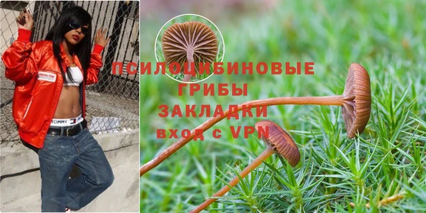 ALPHA-PVP Алзамай