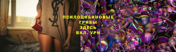 СК Алексин